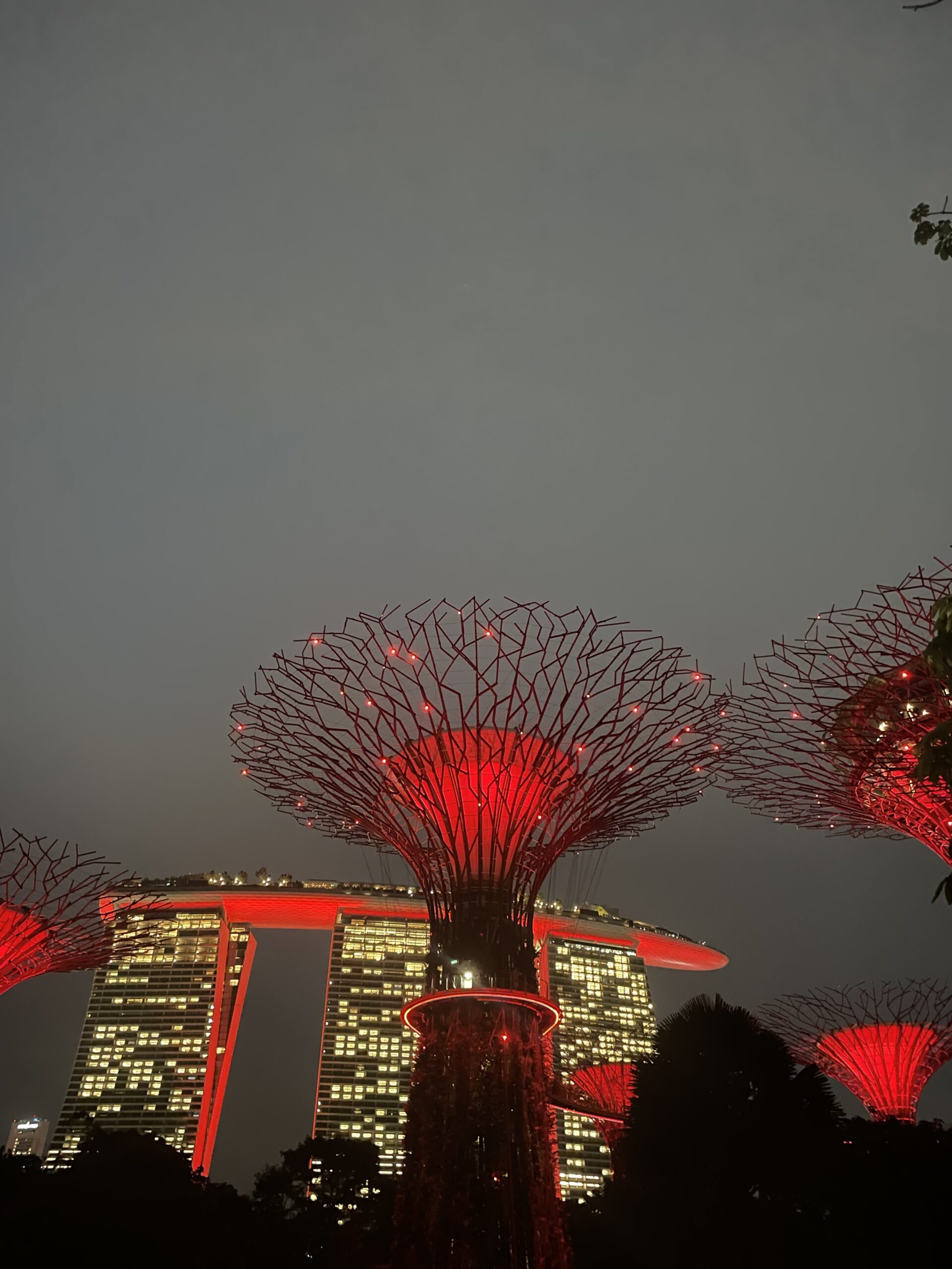 A futuristic urban jungle A futuristic urban jungle
