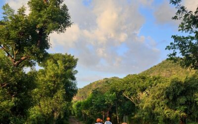 Best booking platforms for budget travelers compared