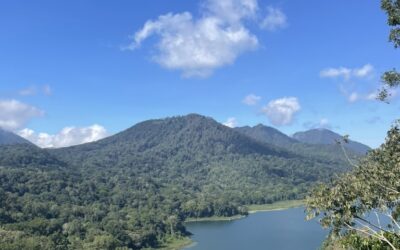 Why Building a Website Should Be on Your 2026 Reset List