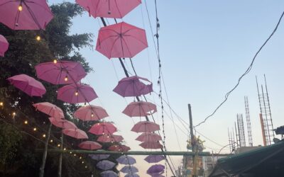 How to Grow Blog Traffic from Zero