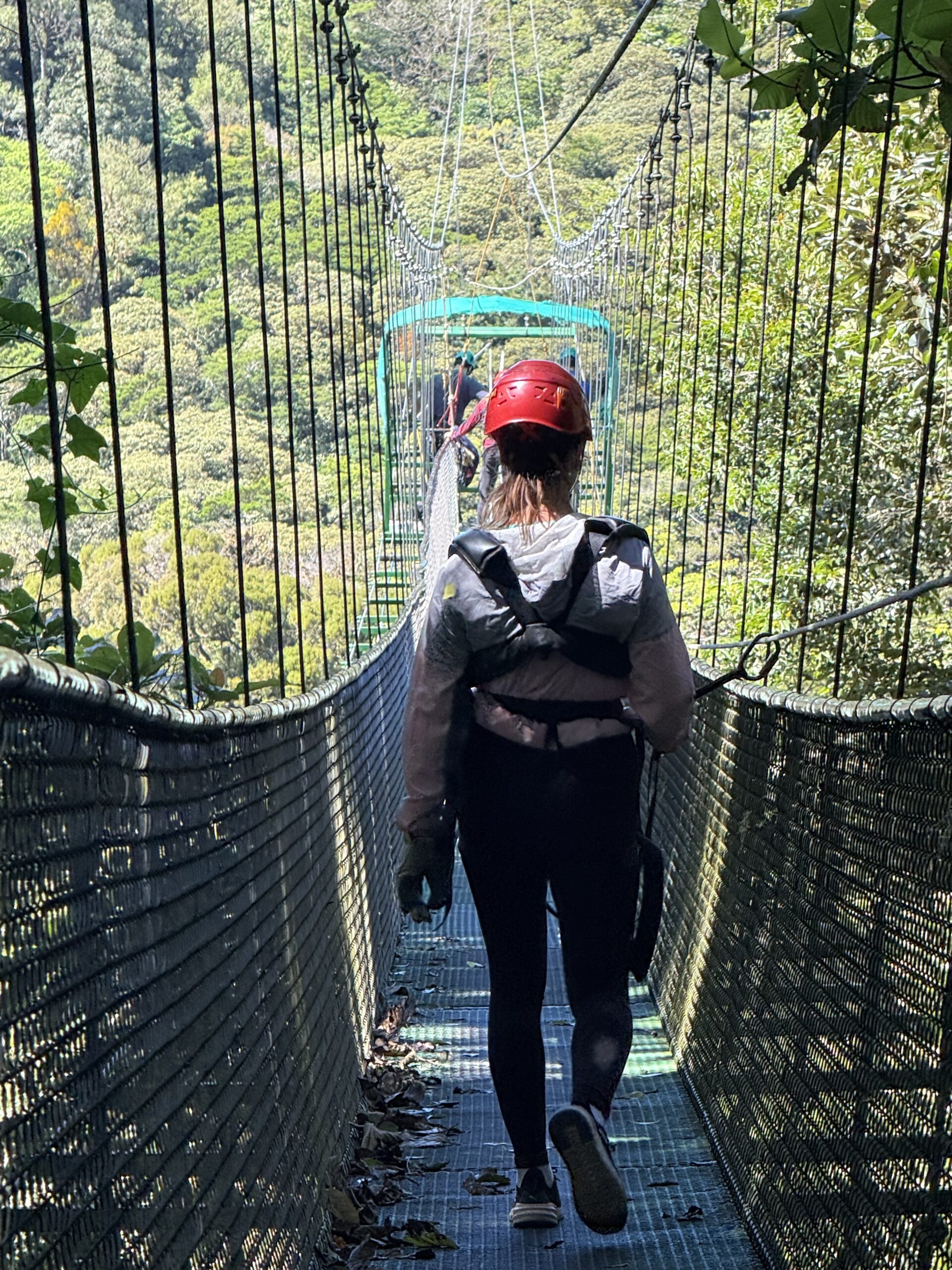 solo travel solo travel