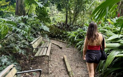 What living in Medellín actually feels like as a digital nomad