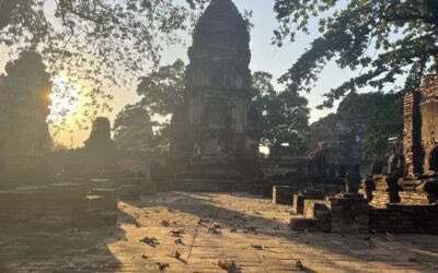 How a Portable Charger Made My Night Train Adventure Bright